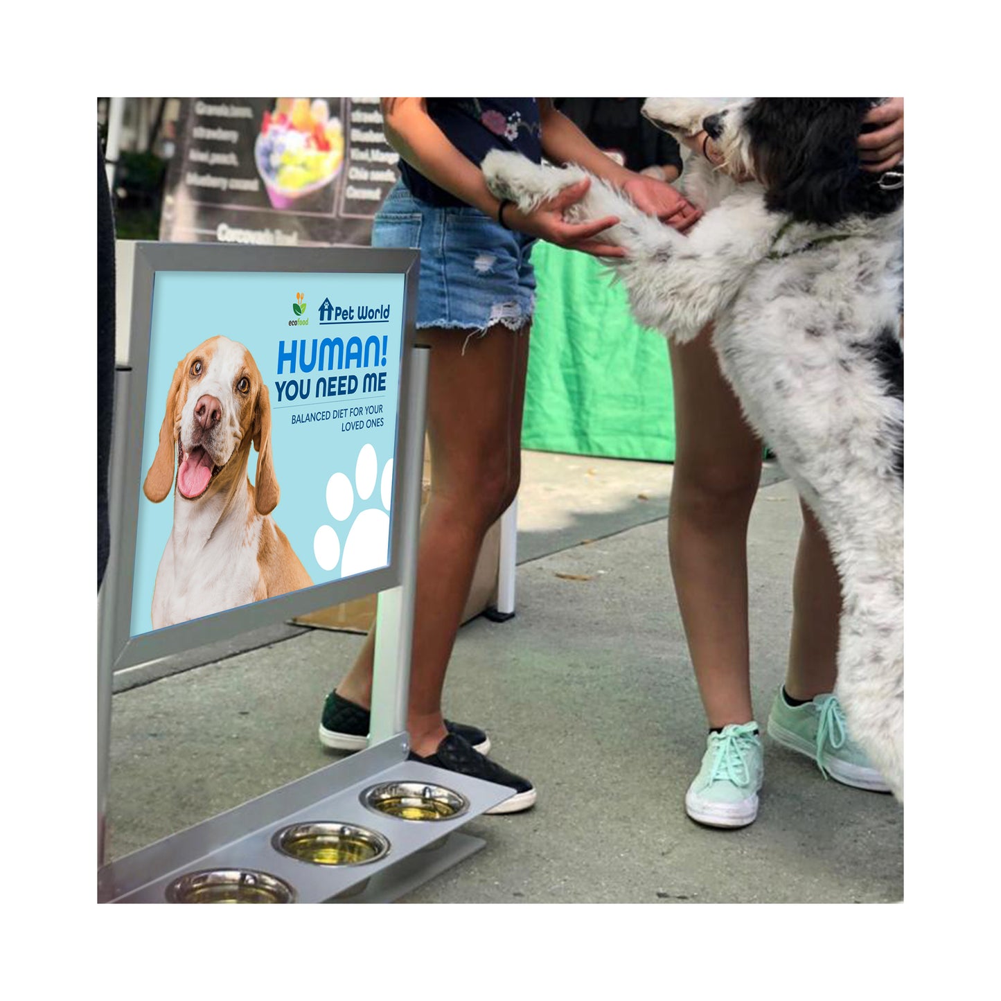 Pet Hydration Display