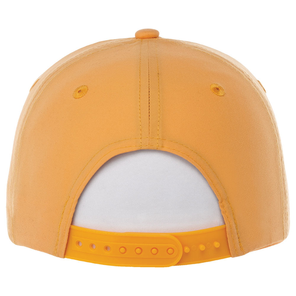 Amber (236)