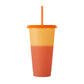 24 oz Chameleon Tumbler