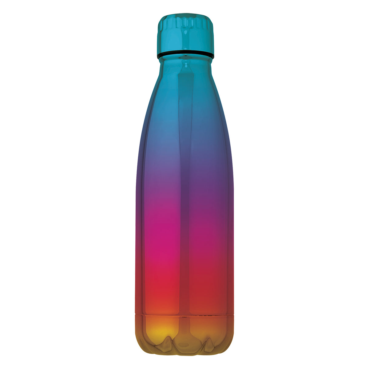 RAINBOW 16 Oz. Verdi Stainless Steel Swiggy Bottle plain grouped
