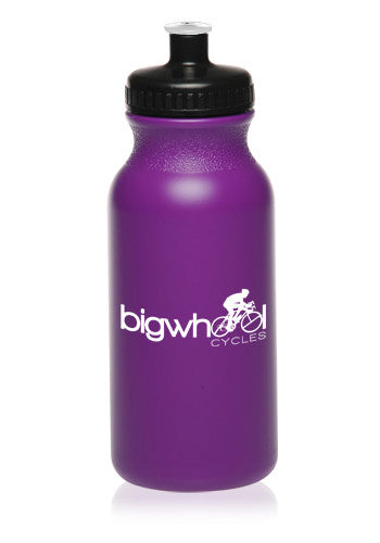 https://vupromo.com/cdn/shop/products/product-images_colors_20-oz-water-bottles-with-push-cap-wb20-purple.jpg?v=1646151626&width=1445